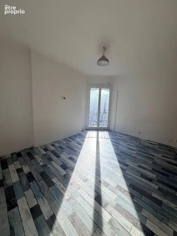 Local com. 228m² et appart. 60m² - photo 3