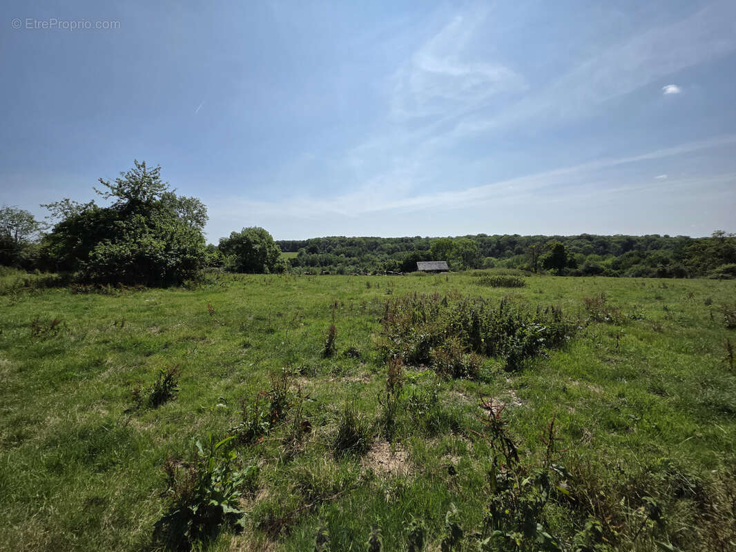 Maison à THIBERVILLE
