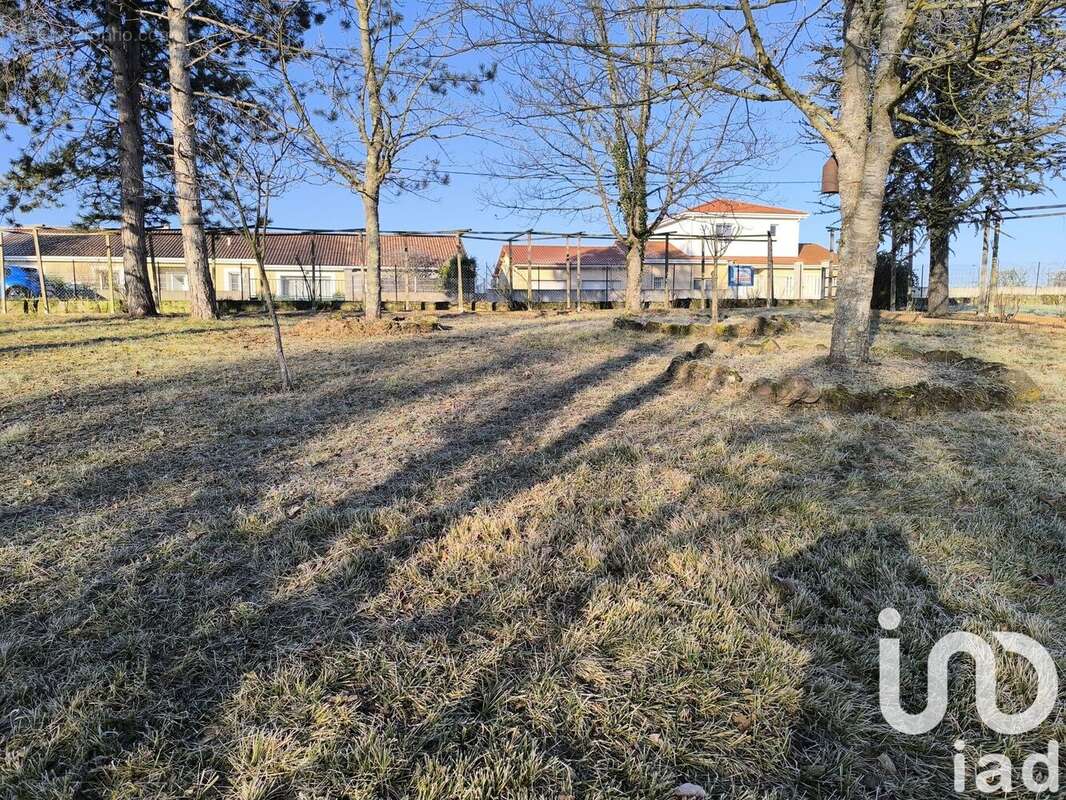 Photo 5 - Terrain à NEUVILLE