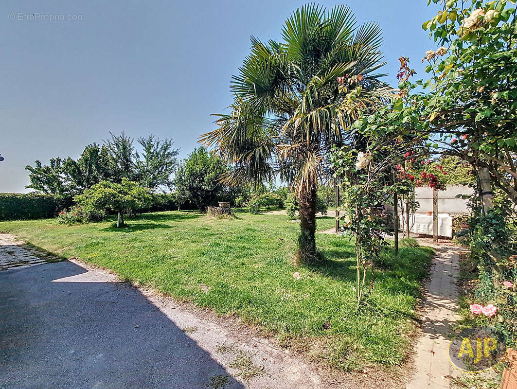 Maison à VIEILLEVIGNE