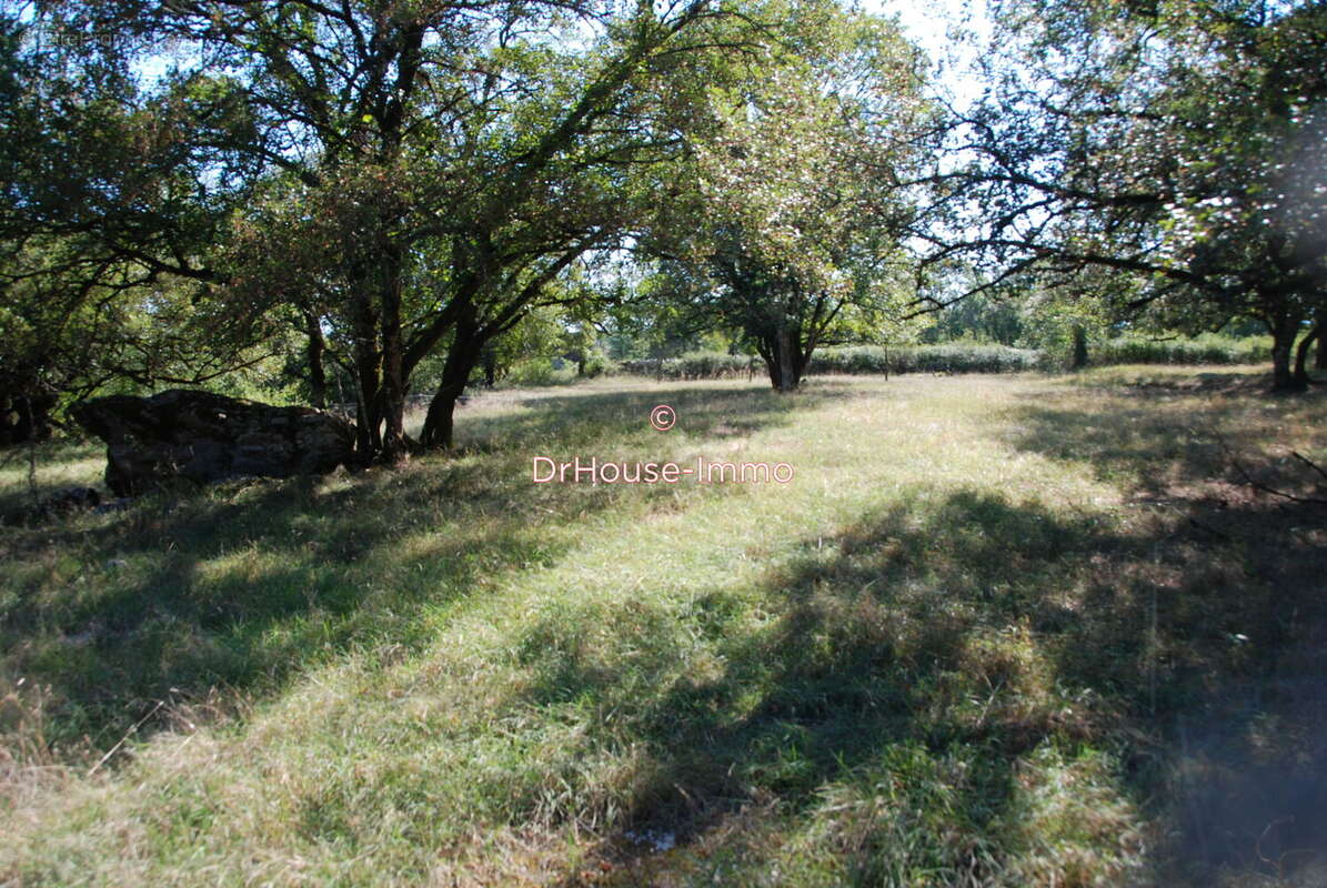 Terrain à LOUBRESSAC