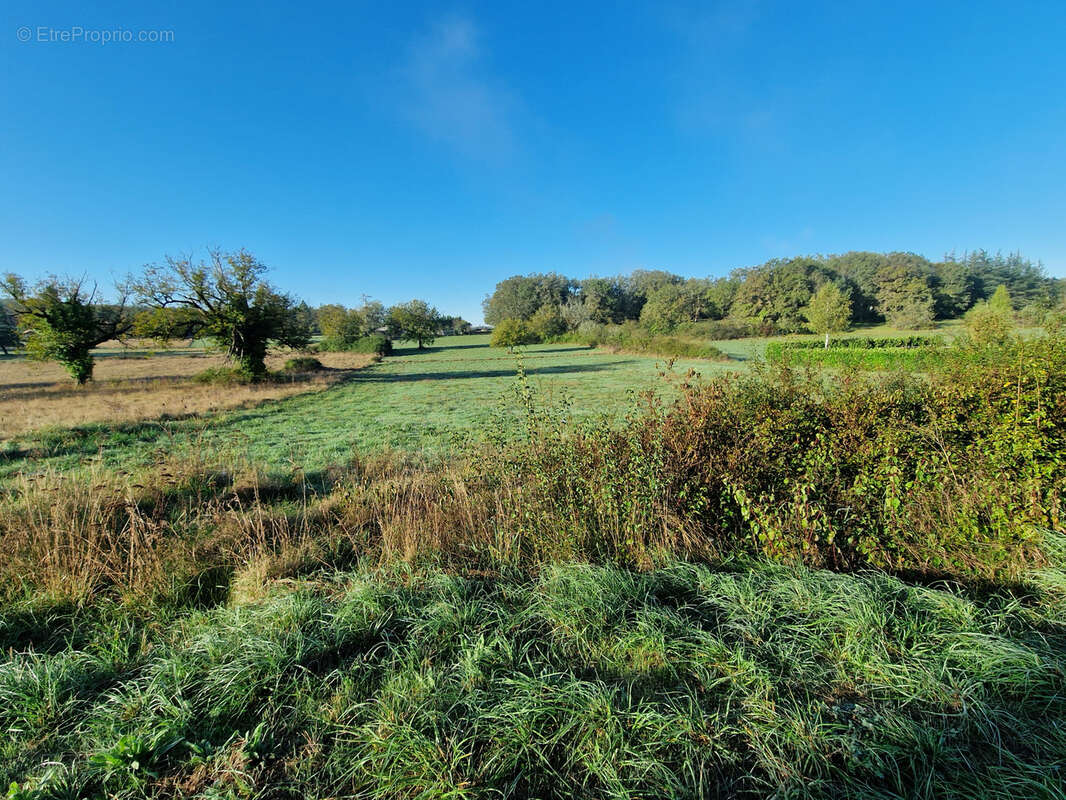 Terrain à NADAILLAC