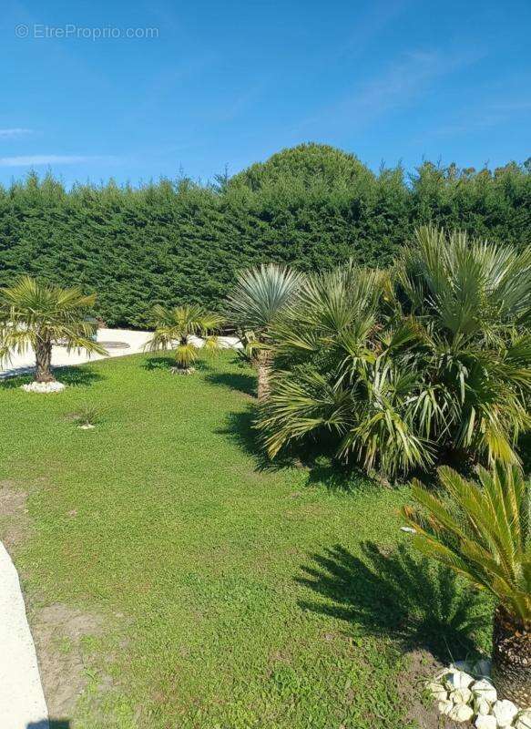 Maison à SAINT-JUST-LUZAC