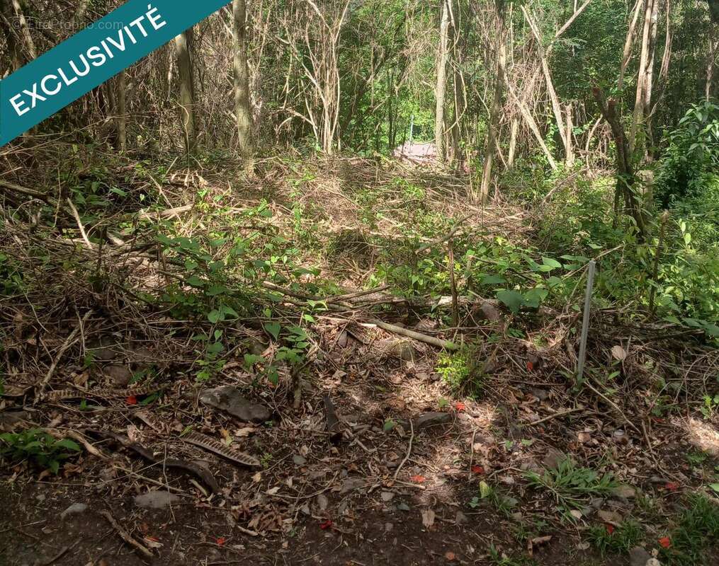 Photo 2 - Terrain à LE DIAMANT