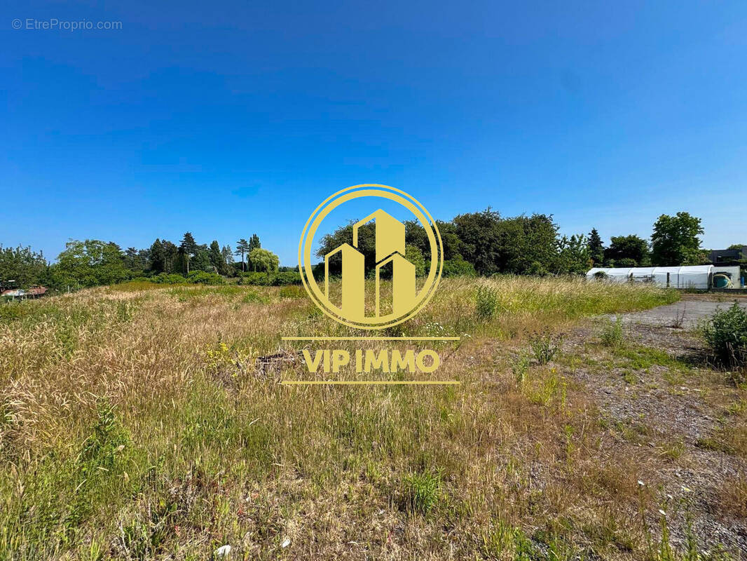 Terrain à LA NEUVILLE