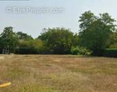 Terrain à LE PIAN-MEDOC