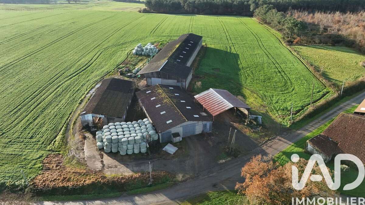 Photo 1 - Terrain à MONSIREIGNE