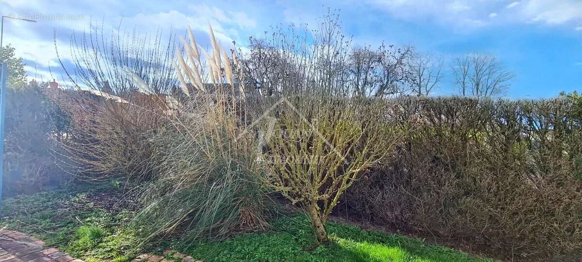 Maison à AINAY-LE-CHATEAU