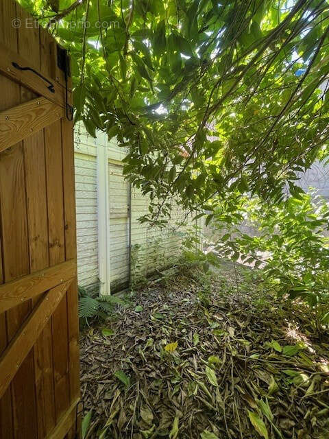 Commerce à LE MOULE