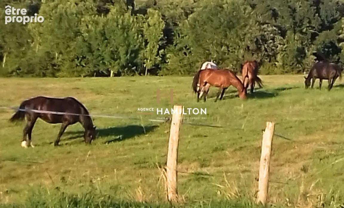 Petite maison dans la prairie - propriete avec potentiel equestre - photo 14