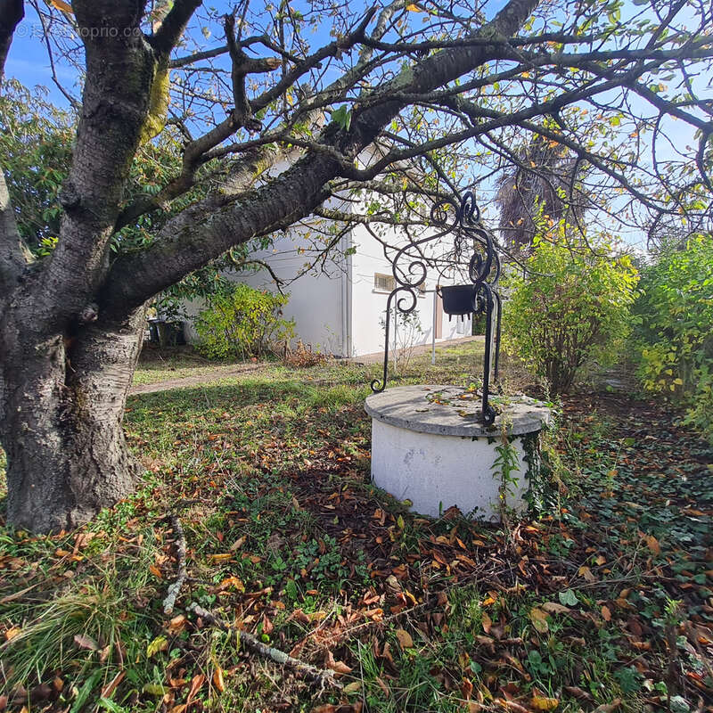 Maison à VILLENEUVE-TOLOSANE