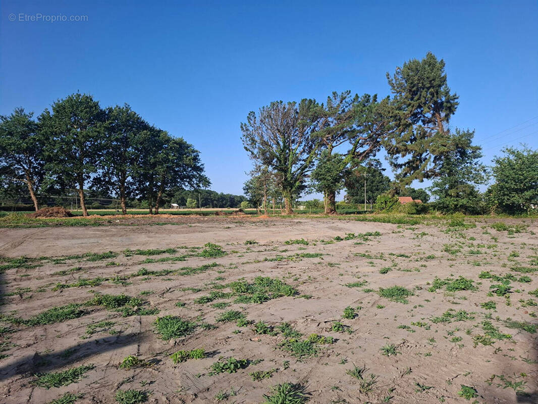 Terrain à SAINT-JEAN-DE-MARSACQ
