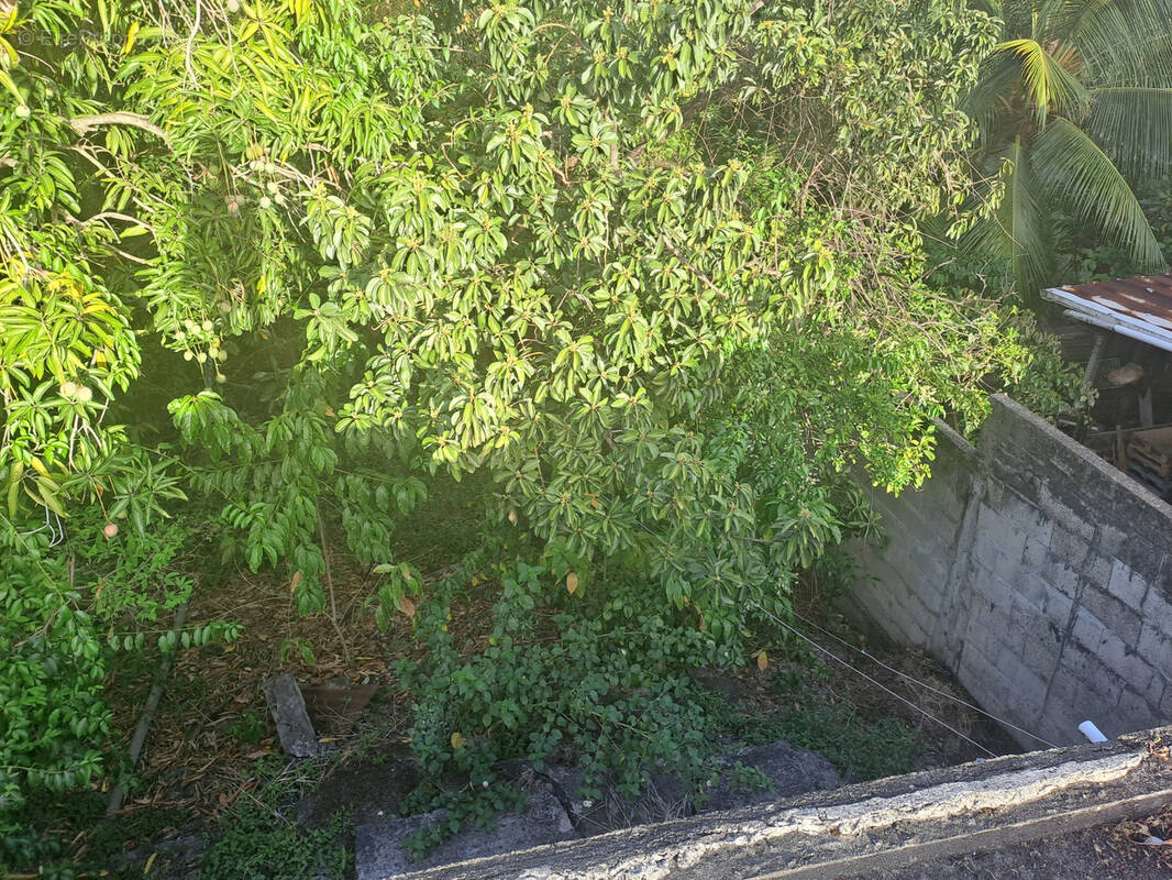 Terrain à SCHOELCHER