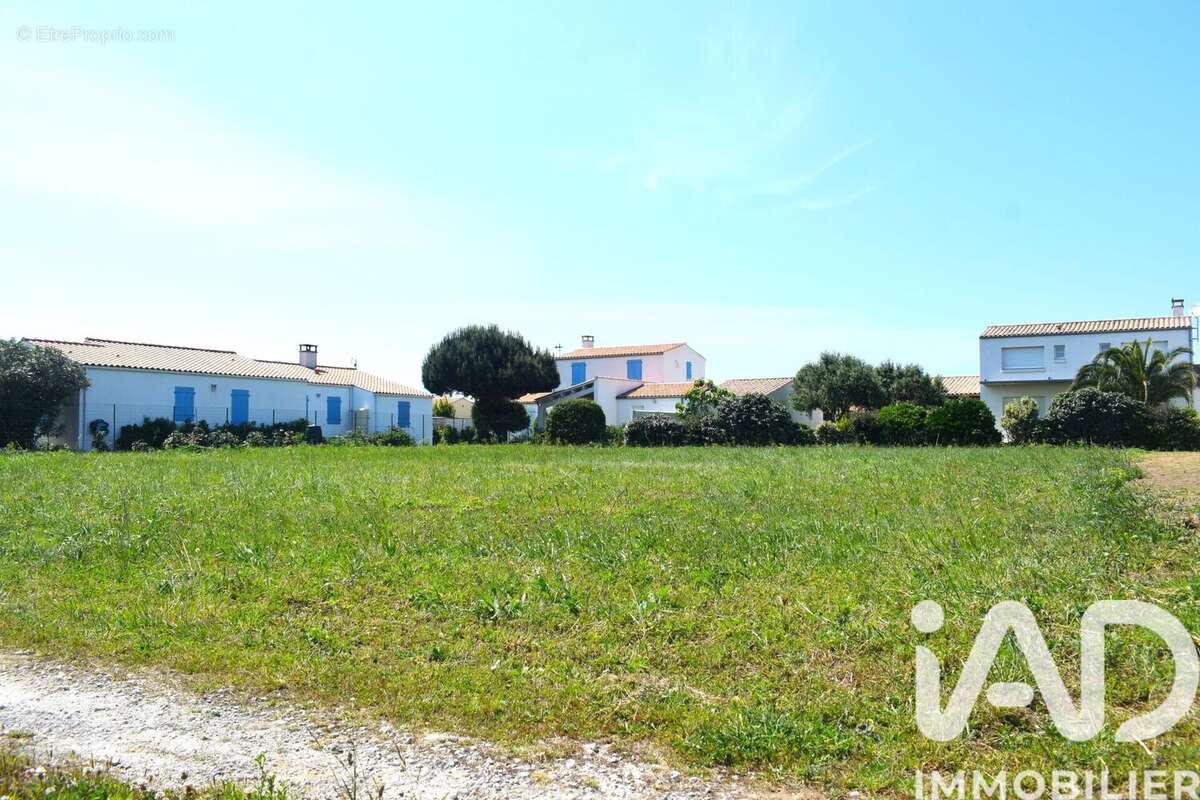 Photo 2 - Terrain à SAINT-DENIS-D'OLERON