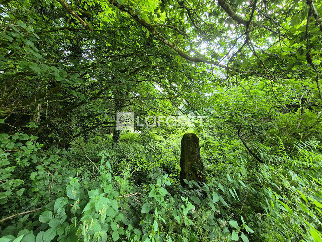 Maison à LA FEUILLEE