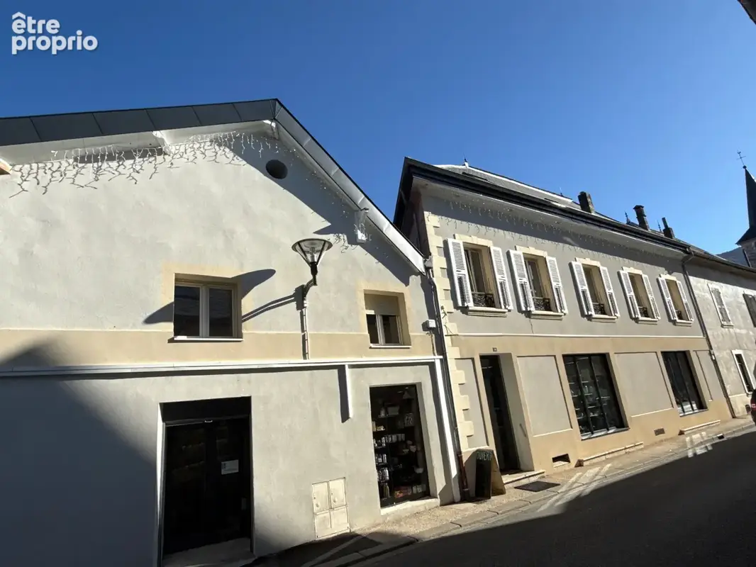 Photo Commerce à Novalaise au prix de 217 000€
