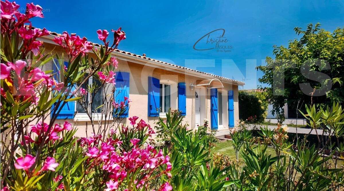 Maison Montech exterieur 3 - Maison à MONTECH