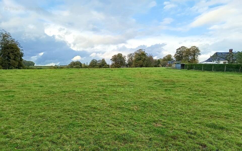 Terrain à ANVEVILLE