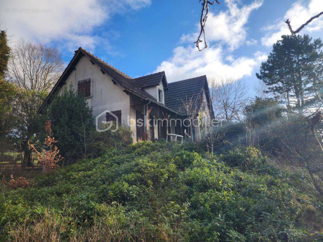 Maison à THORIGNY-SUR-OREUSE