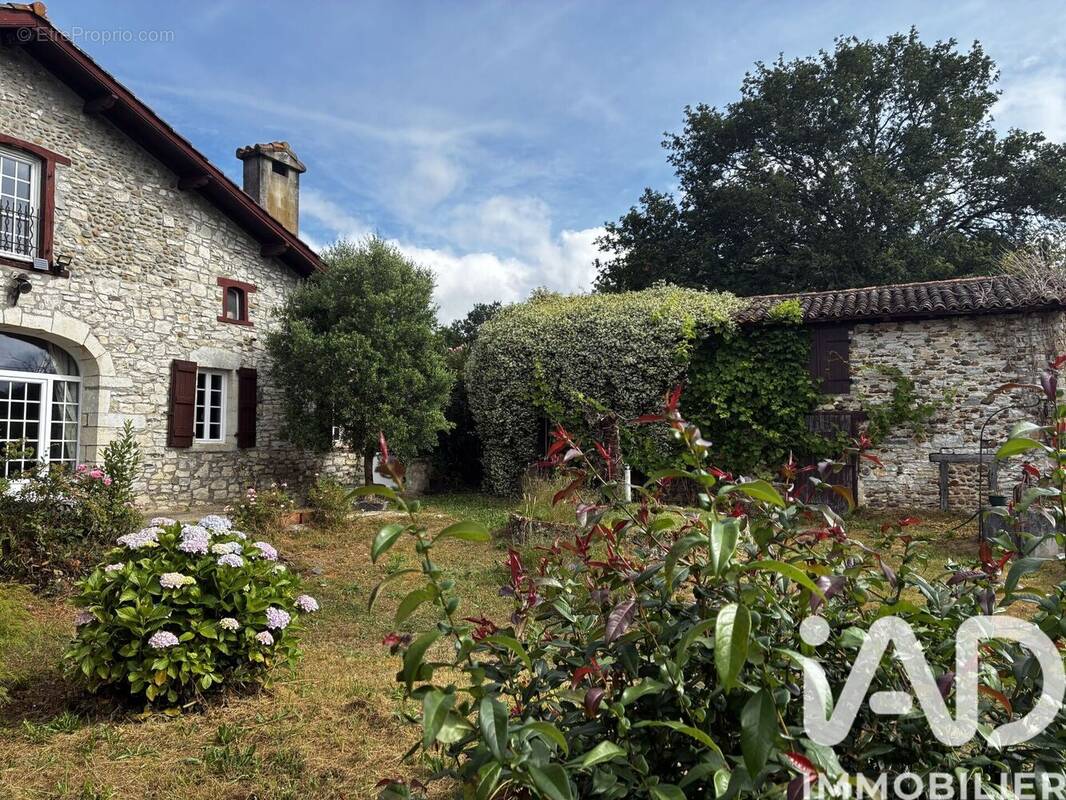 Photo 1 - Maison à SAINT-ETIENNE-D'ORTHE