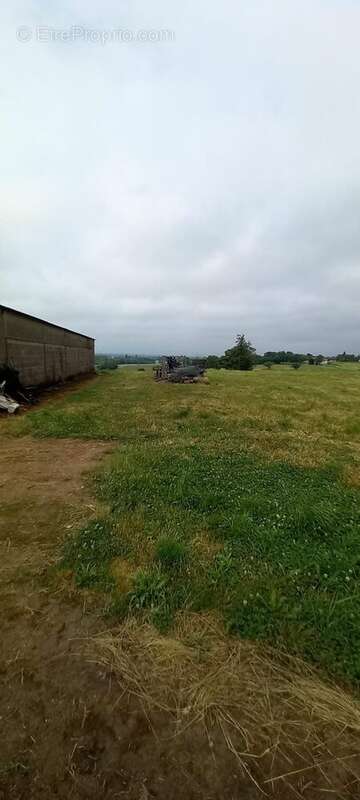 Maison à SAINT-JEAN-SUR-VEYLE