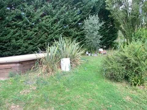 ENTREPOT AUCH 800 M2 plus maison 200 M2 - photo 4