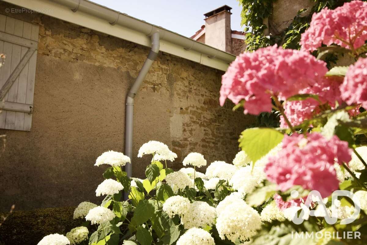 Photo 4 - Maison à THELOD