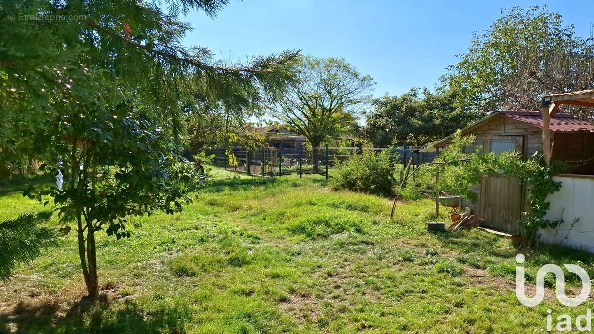 Photo 2 - Maison à MONTAUBAN