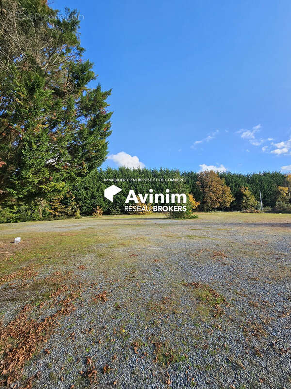 Commerce à LES BRULAIS