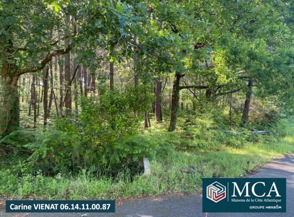 Photo Terrain à Sanguinet au prix de 229 000€