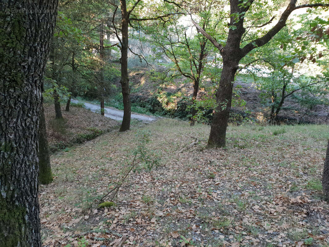 Terrain à OLARGUES