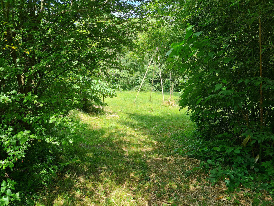Maison à GENERARGUES