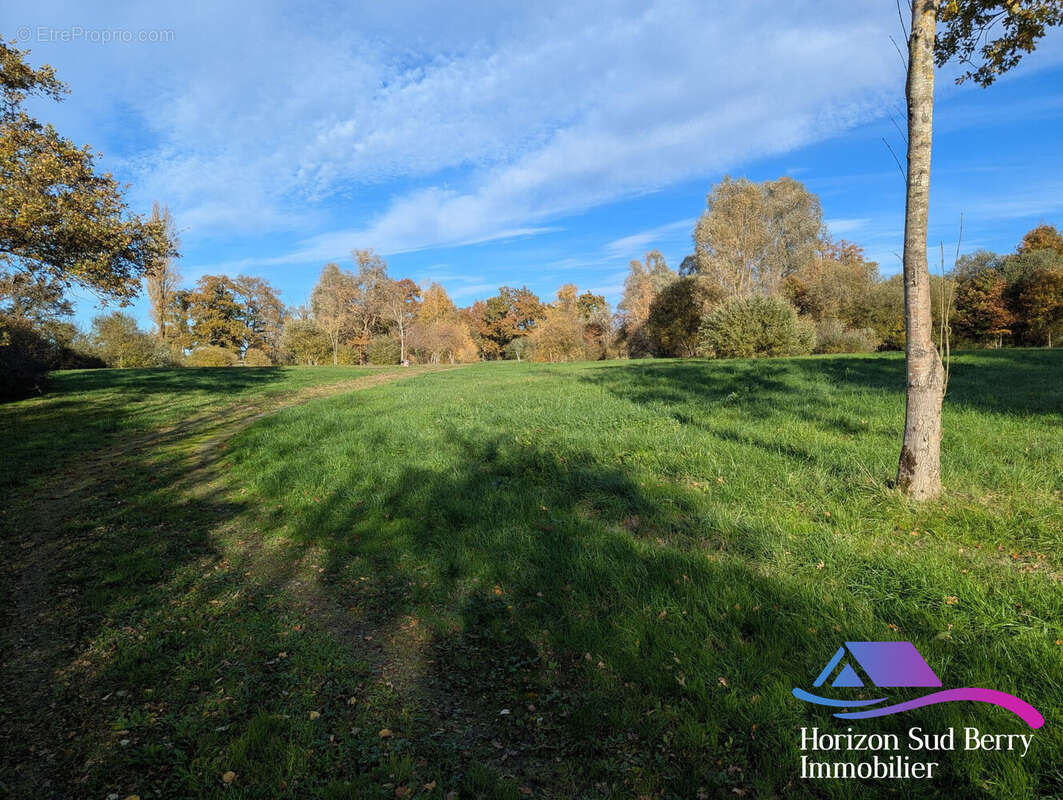 Terrain - Terrain à LE CHATELET
