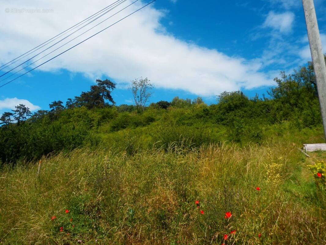 Terrain à LOUVIERS