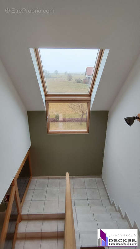 Maison à OBERMODERN-ZUTZENDORF