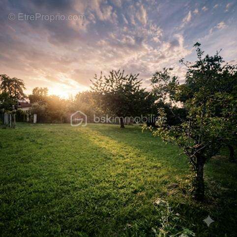 Terrain à vendre  887 m² à Blagnac - photo 3