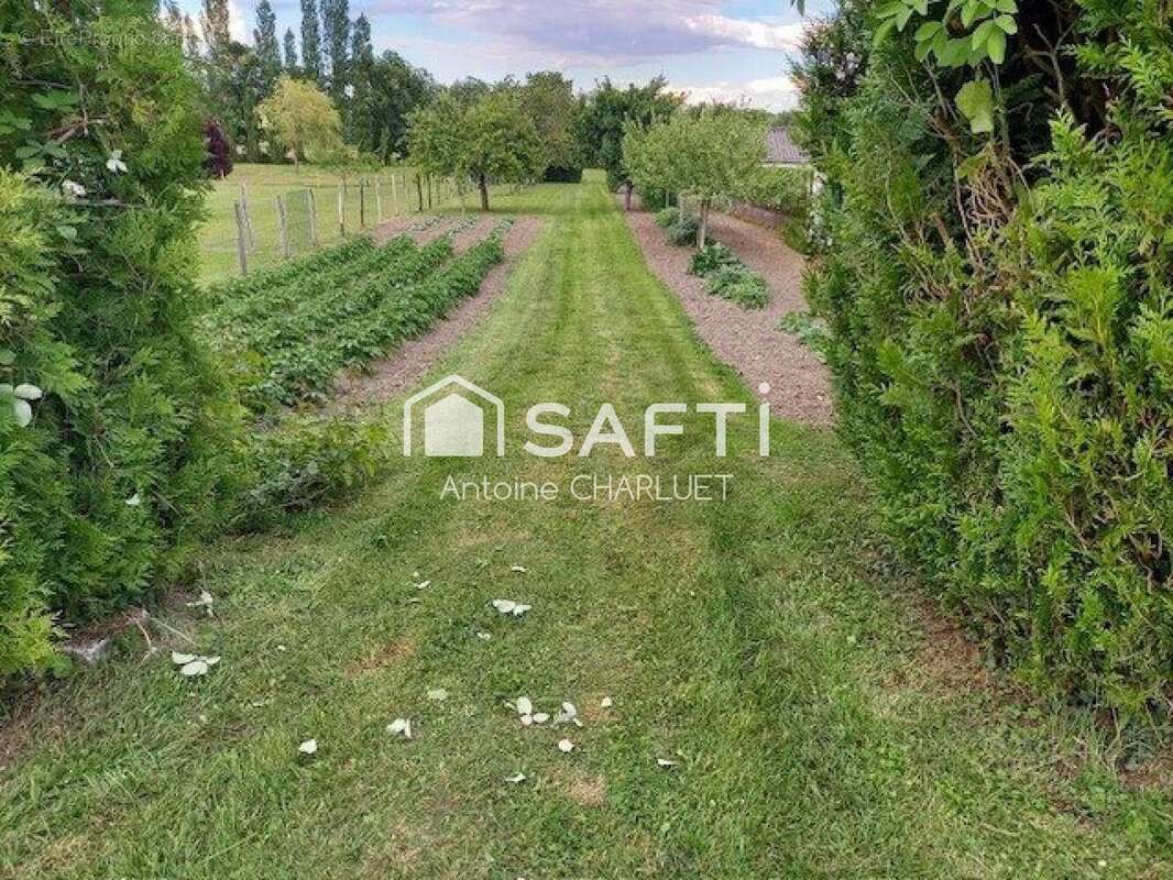 Photo 6 - Terrain à CLION