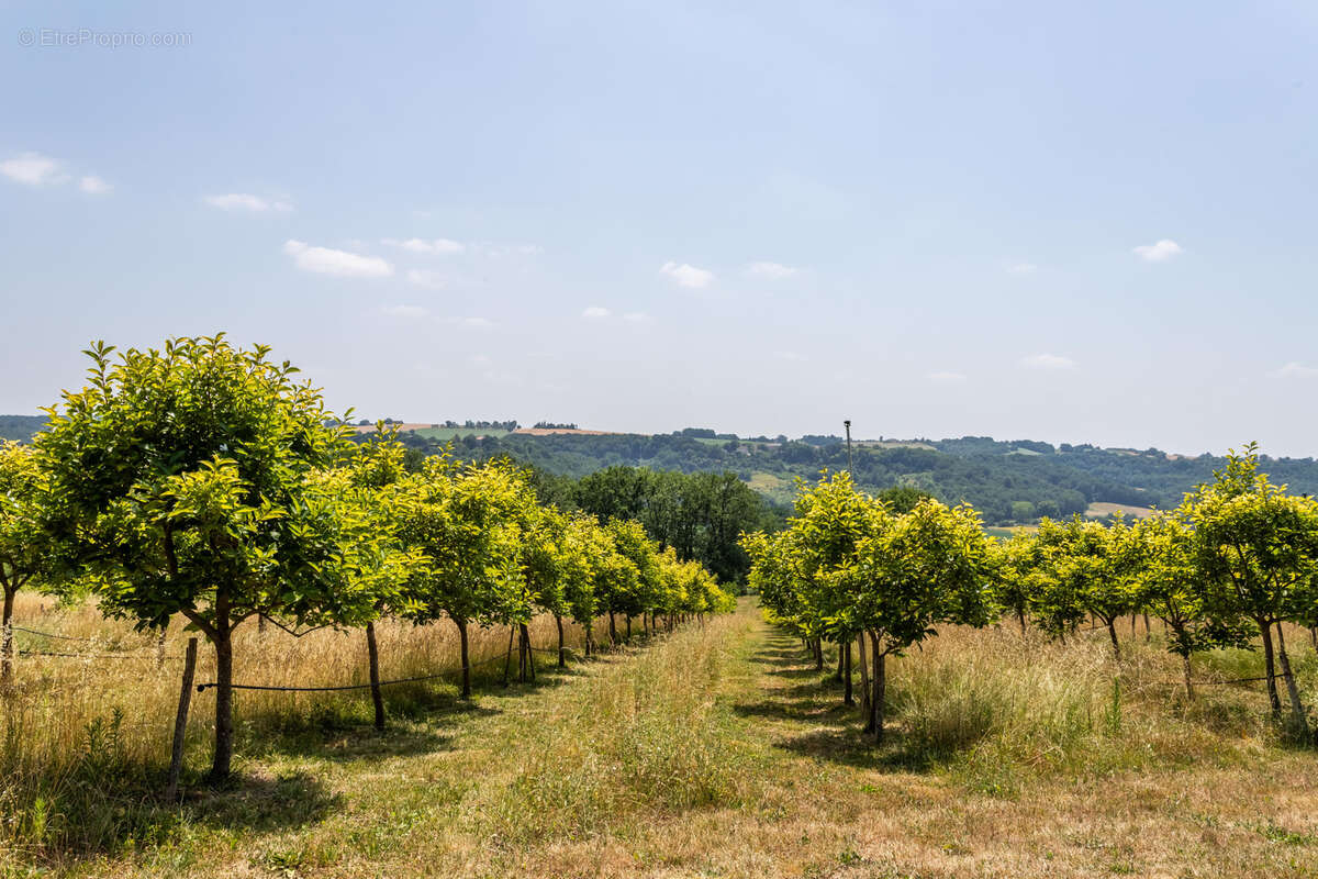 Propriété de campagne avec verger biologique - photo 37