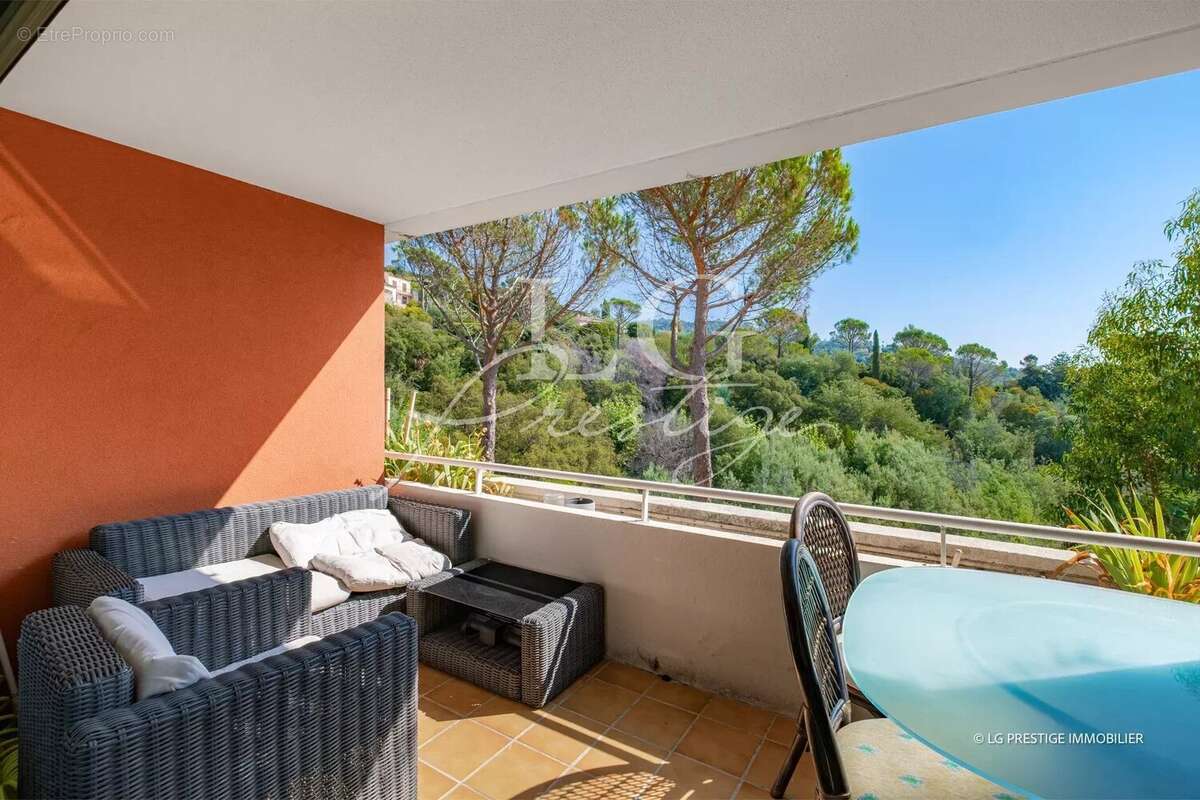 Vue degagee sur verdure et piscine - photo 3