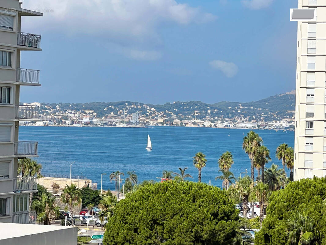 Toulon mourillon - port marchand - appartement 3 pieces - 2 chambres - balcon - photo 20