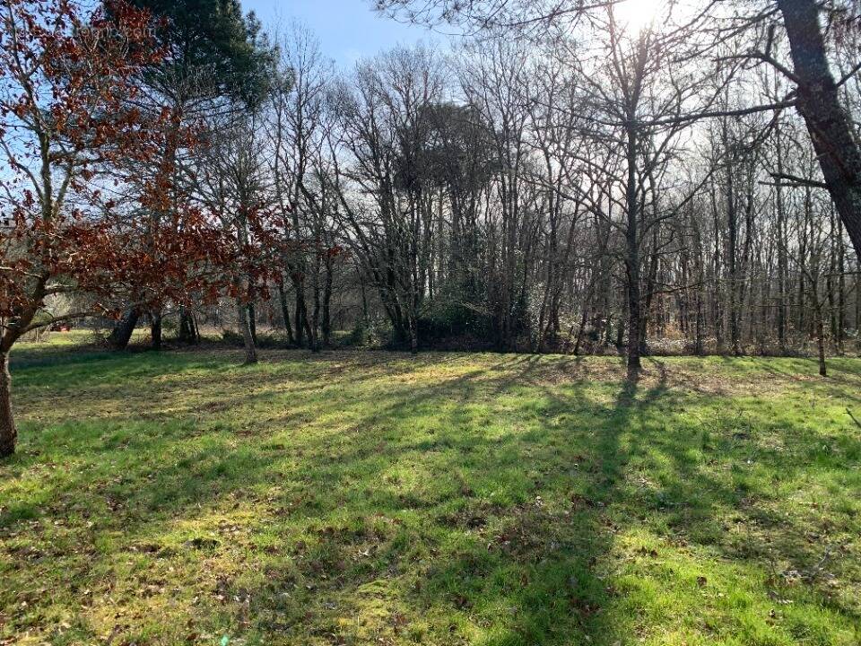 Terrain à LOUCHATS