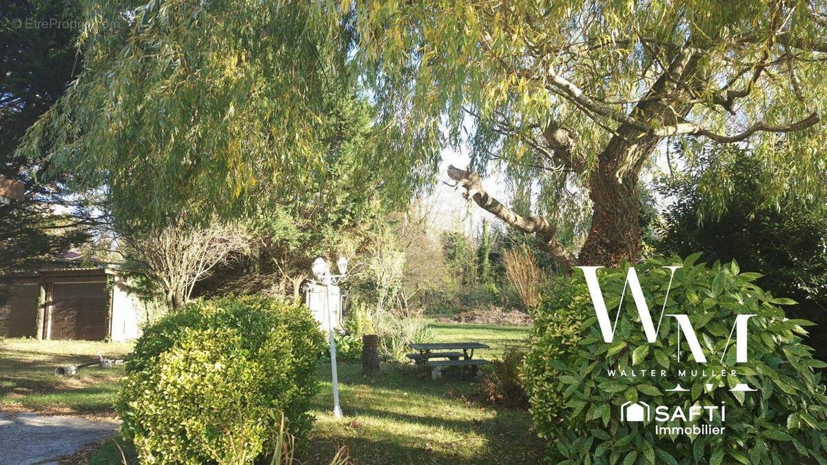 Photo 1 - Maison à DANNES