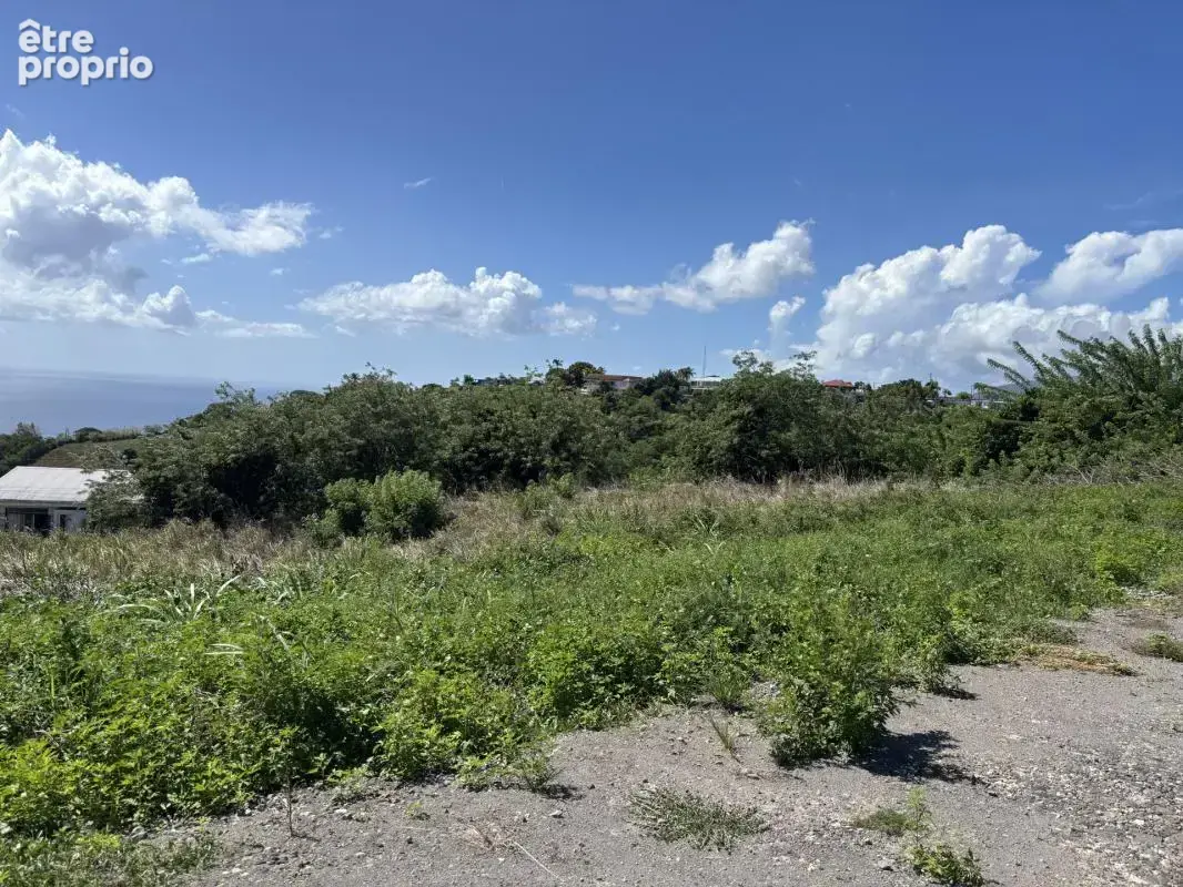 A vendre : terrain 750m² au carbet (97221) - photo 2
