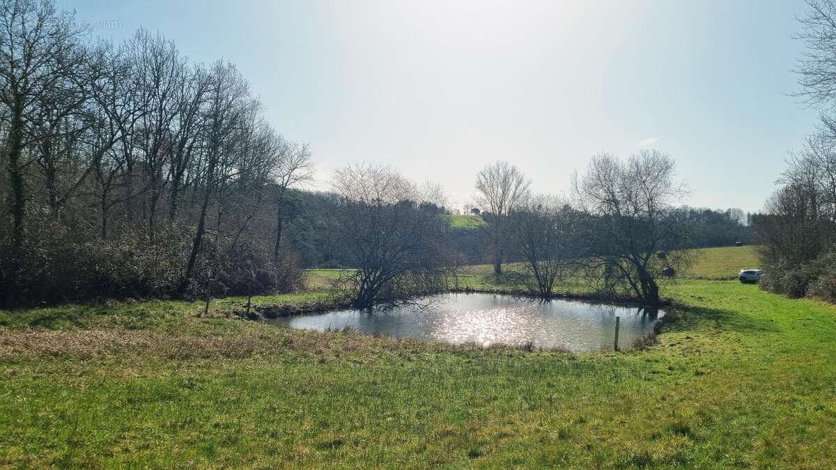 Terrain à DOUVILLE