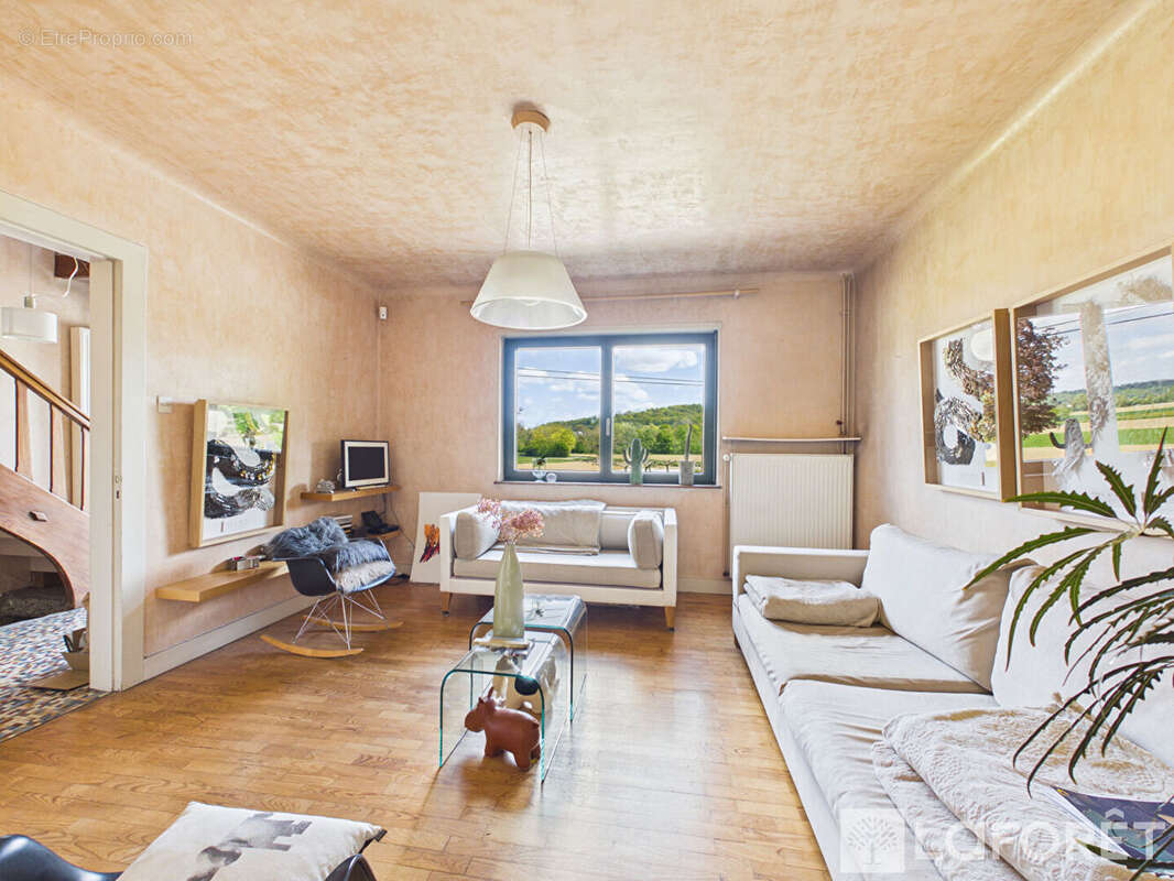 FROENINGUE maison individuelle de 91m² sur 13,77 ares - photo 3