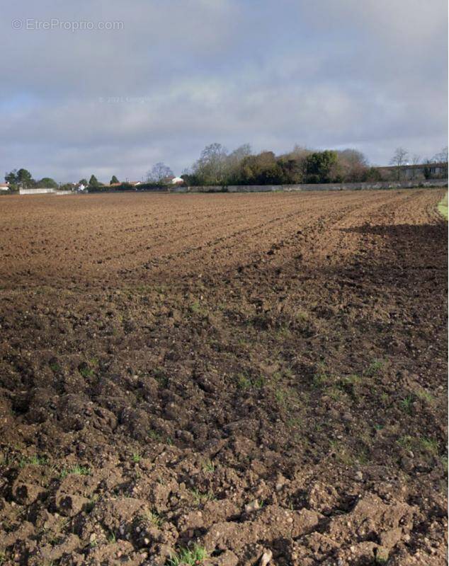 Terrain à VERINES