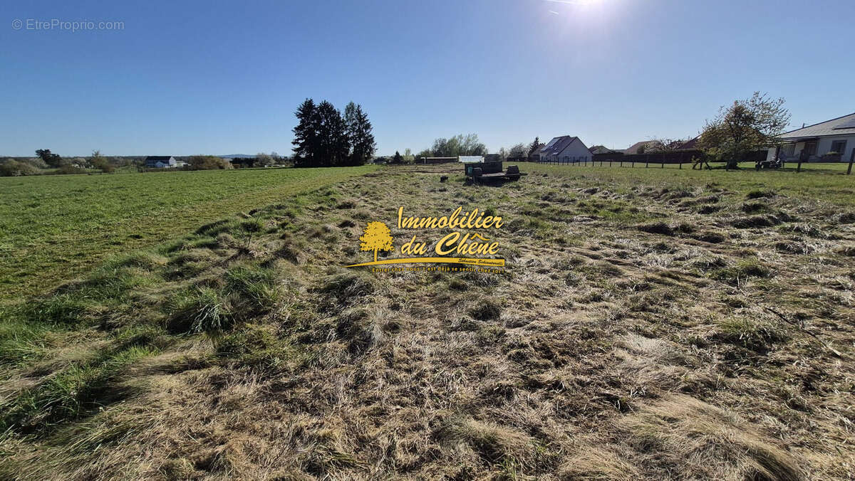 Terrain à FROIDECONCHE