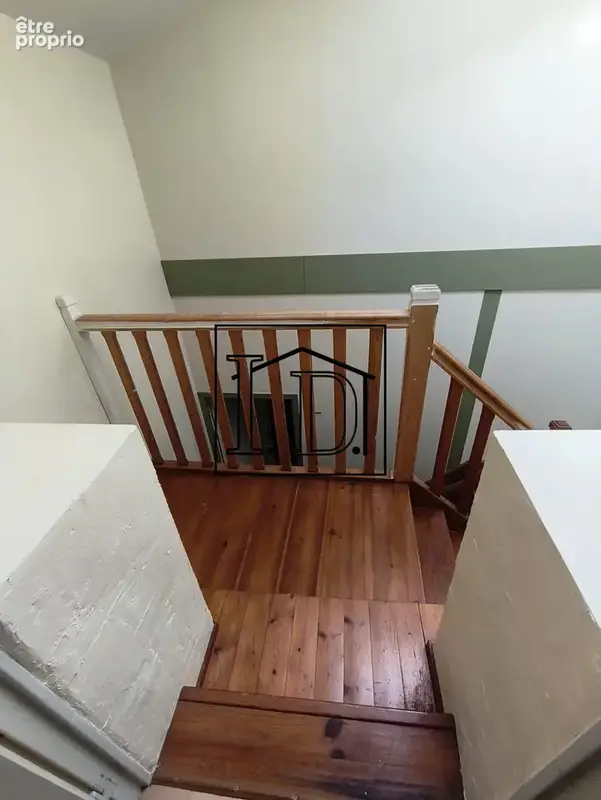 escalier palier 1er