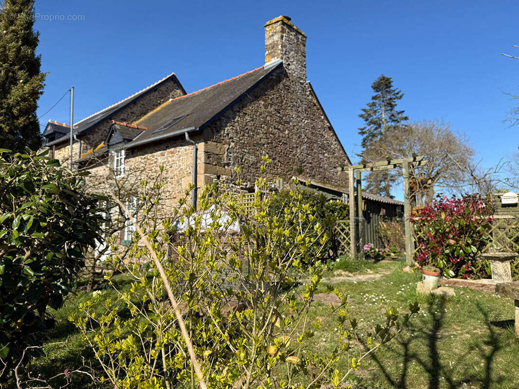 Maison à NOYAL-SOUS-BAZOUGES