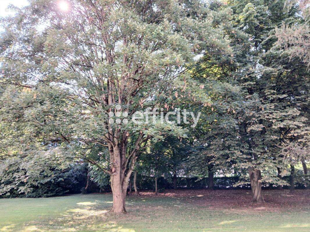 Appartement - photo 8